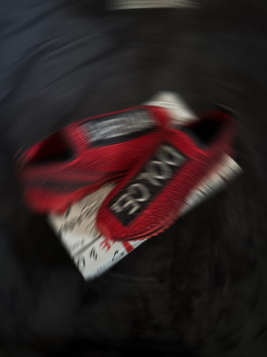 DG BLUH